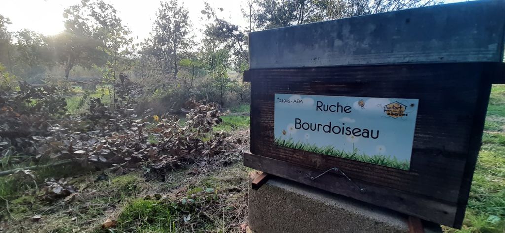 La ruche Bourdoiseau