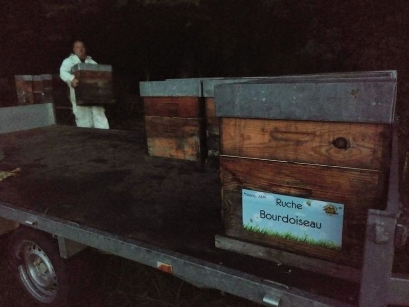 La ruche Bourdoiseau