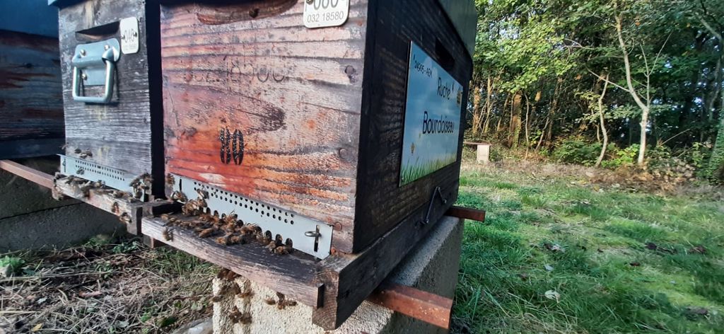 La ruche Bourdoiseau