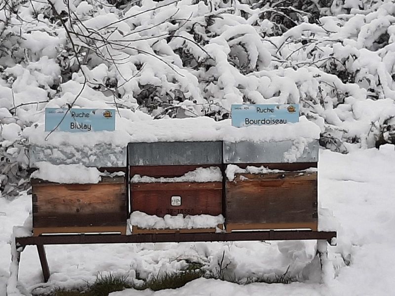 La ruche Bourdoiseau