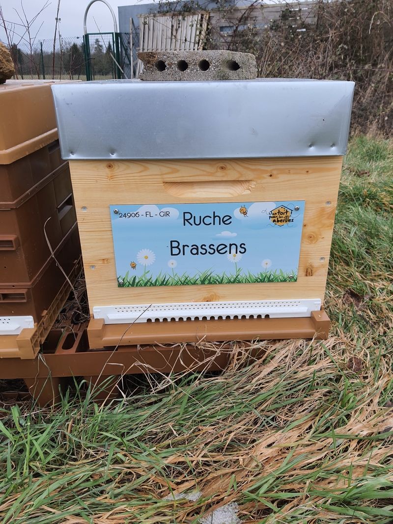 La ruche Brassens