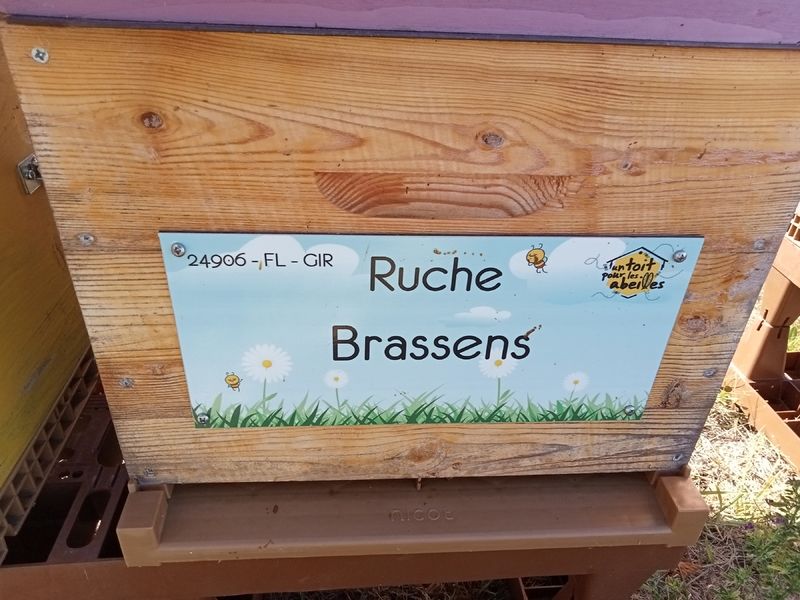 La ruche Brassens