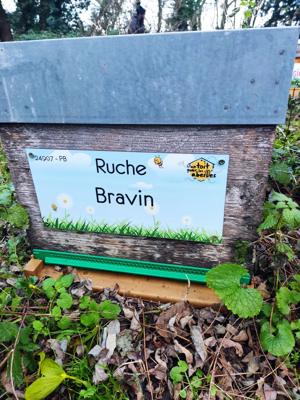 La ruche Bravin