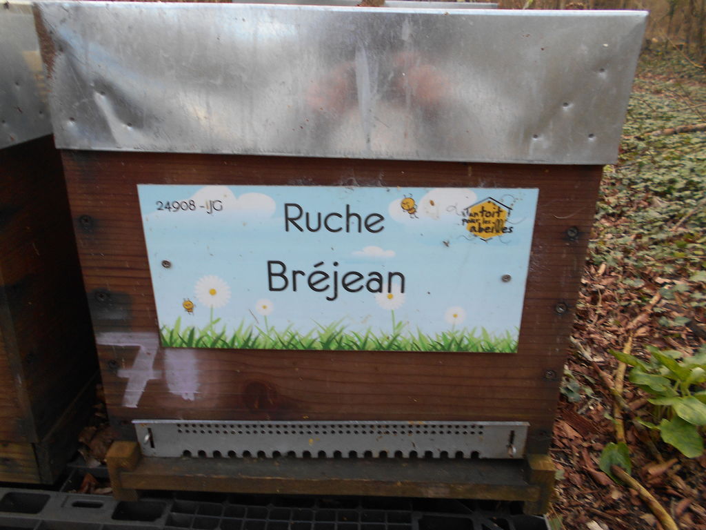 La ruche Bréjean