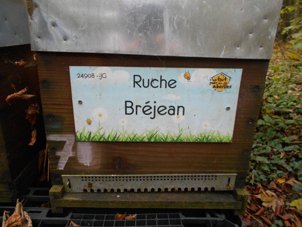 La ruche Bréjean