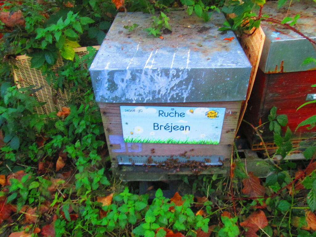 La ruche Bréjean