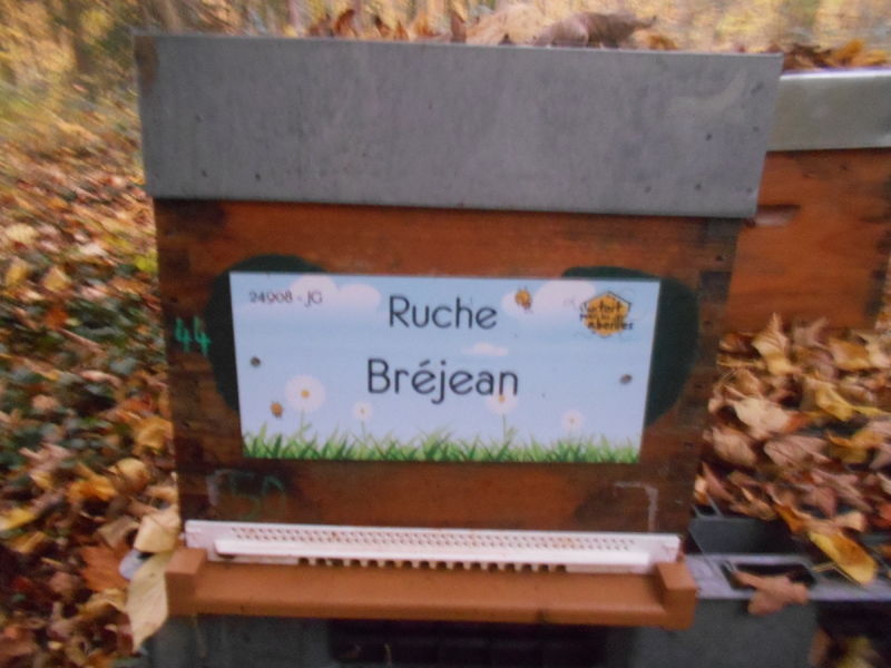 La ruche Bréjean