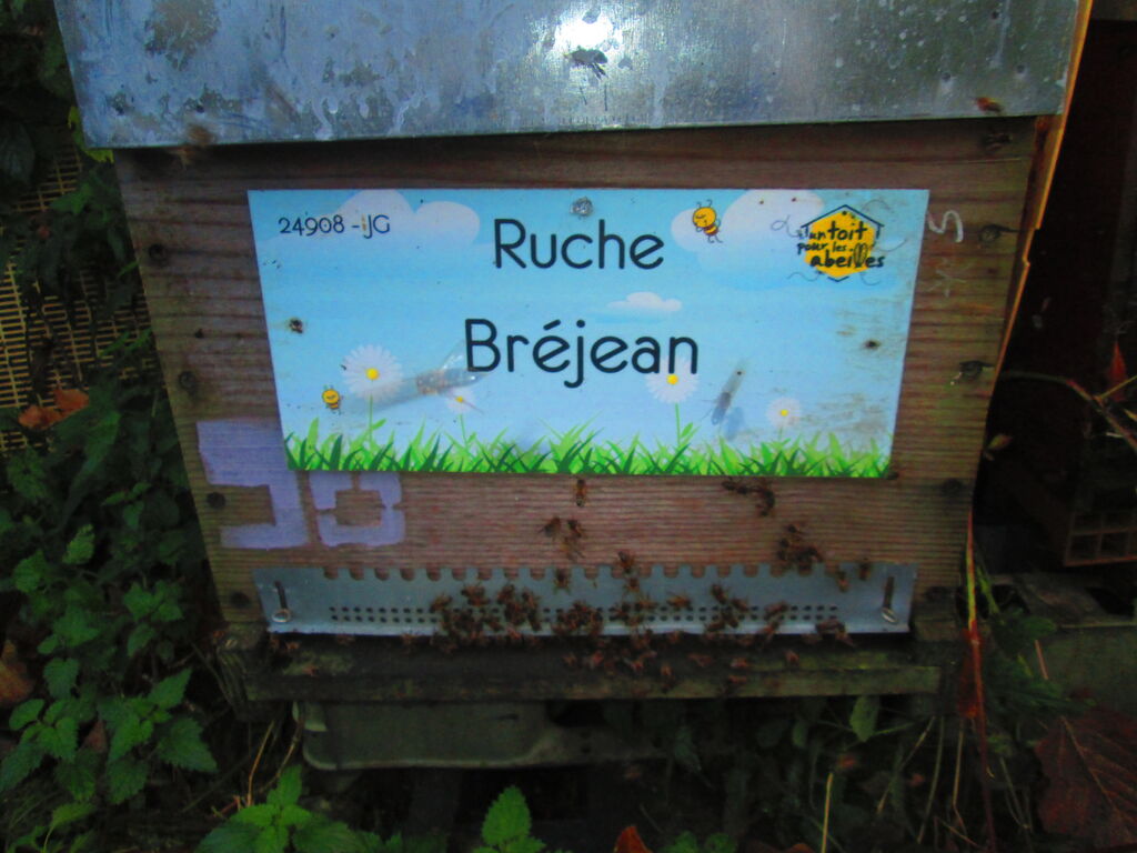 La ruche Bréjean