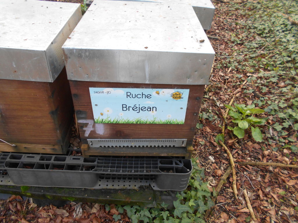 La ruche Bréjean
