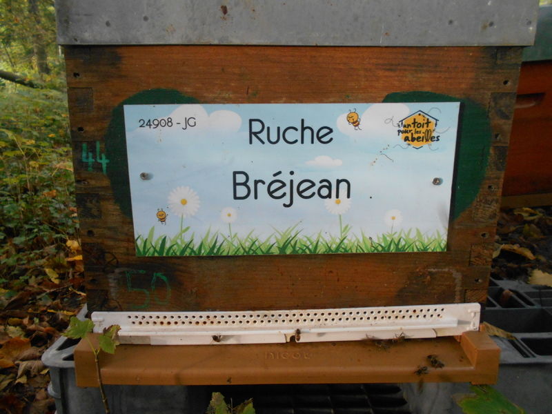 La ruche Bréjean
