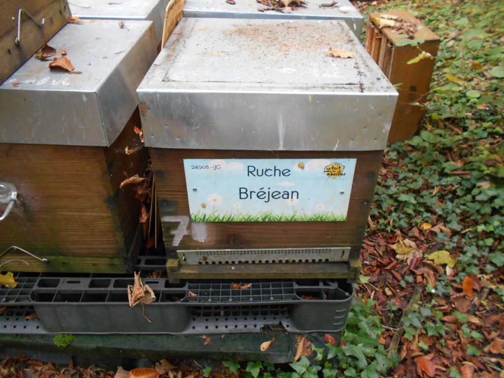La ruche Bréjean