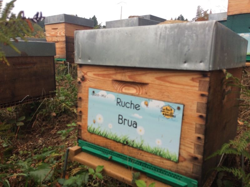 La ruche Brua