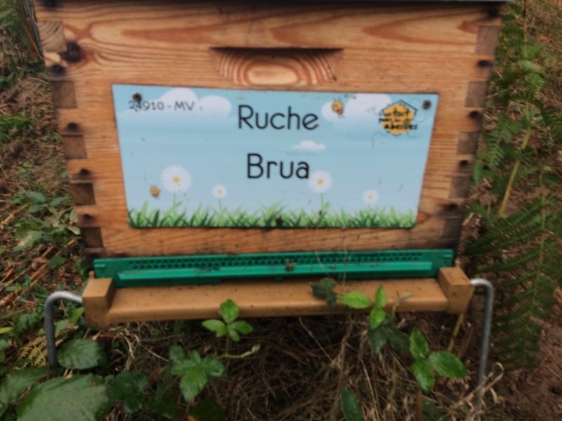La ruche Brua