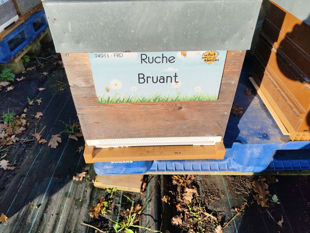 La ruche Bruant
