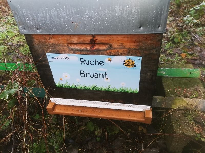 La ruche