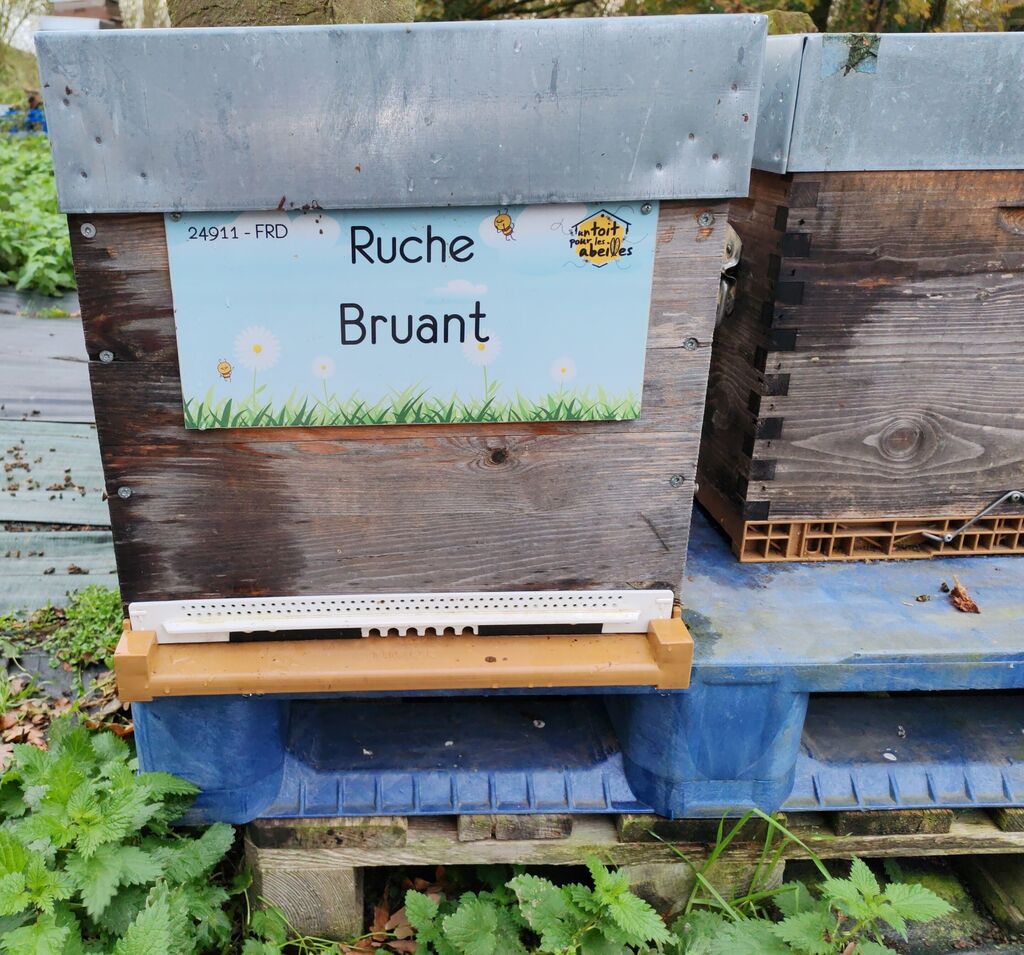 La ruche Bruant