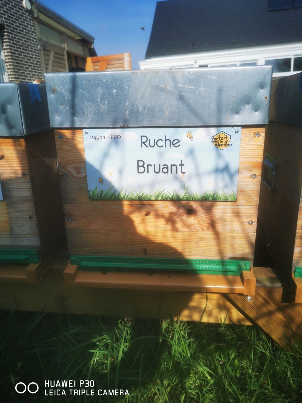 La ruche Bruant