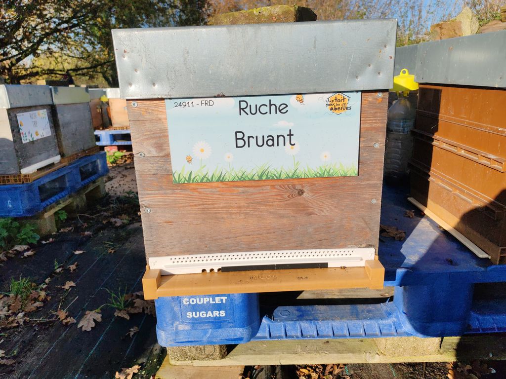 La ruche Bruant