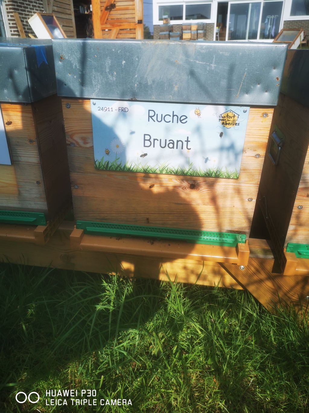 La ruche Bruant