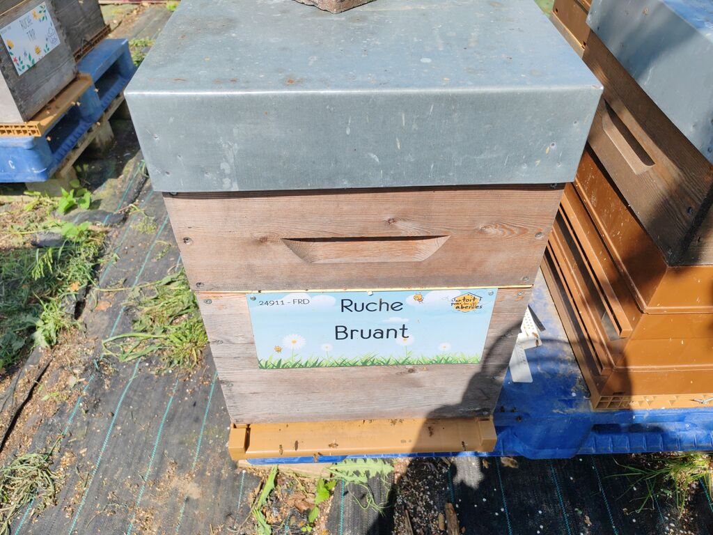 La ruche Bruant
