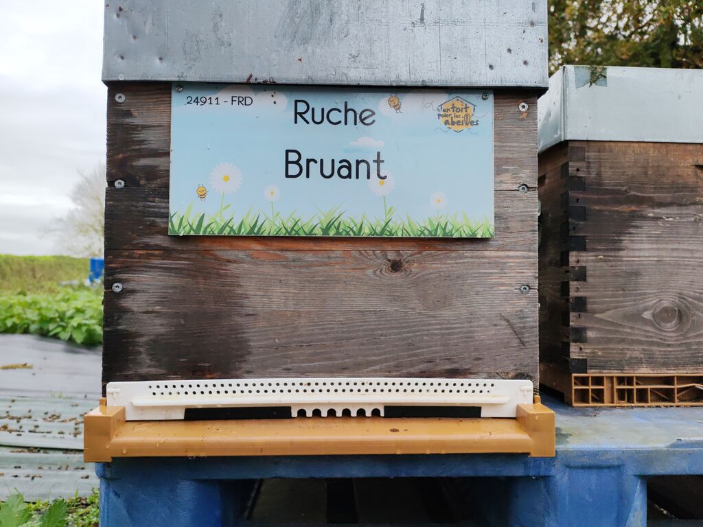 La ruche Bruant