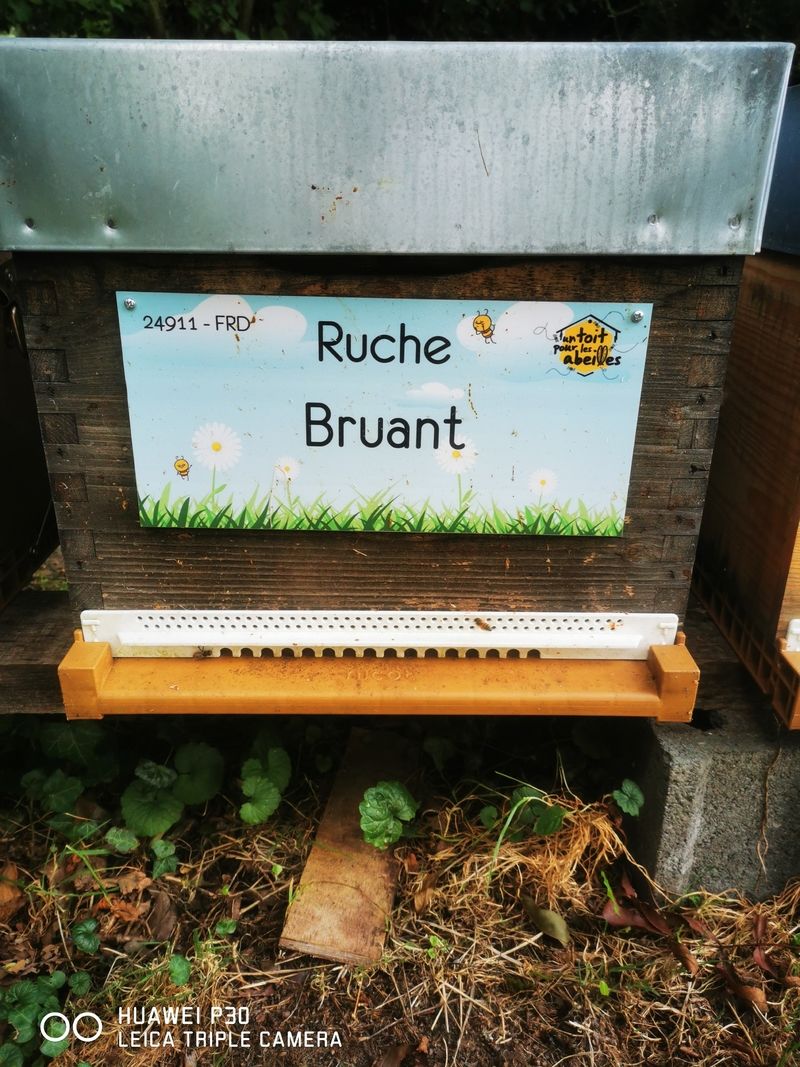 La ruche Bruant