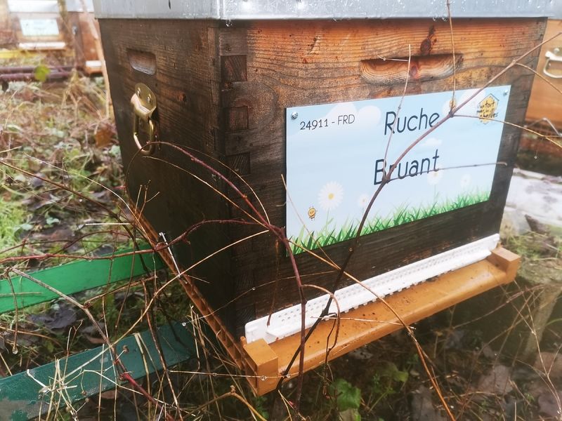 La ruche Bruant