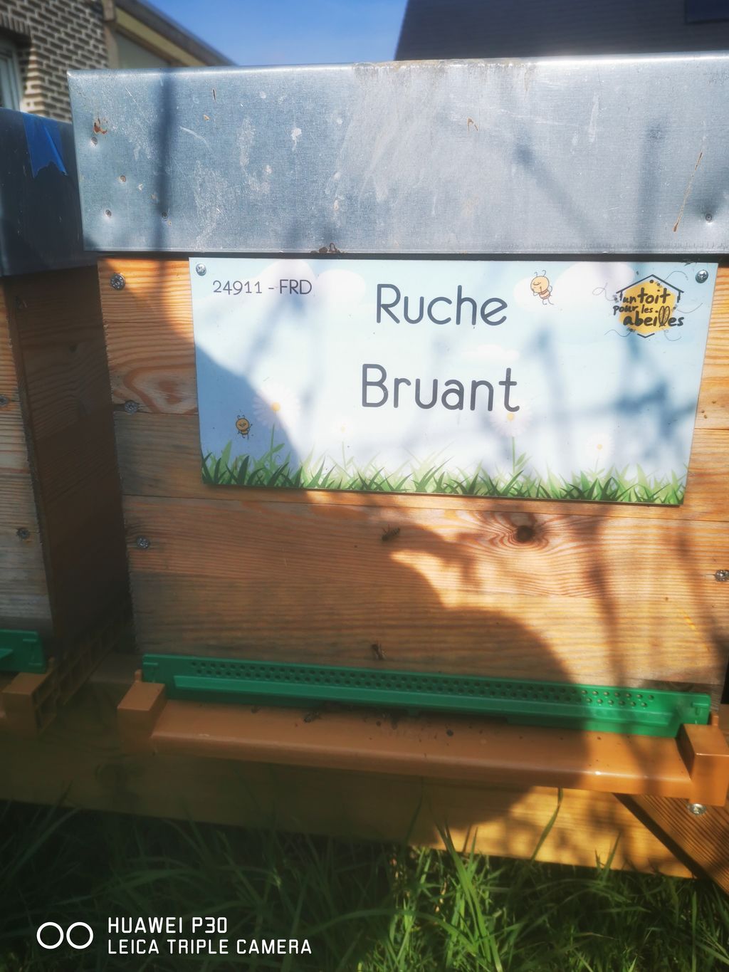 La ruche Bruant
