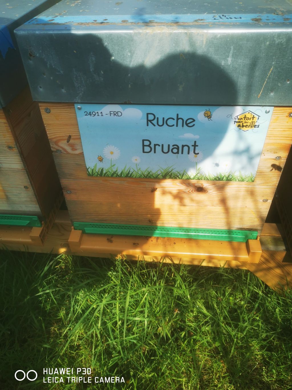 La ruche Bruant