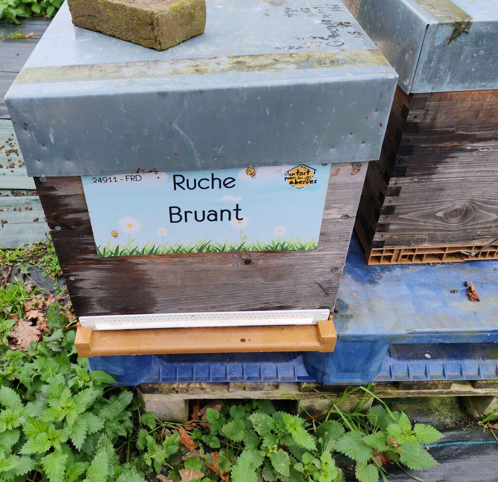 La ruche Bruant