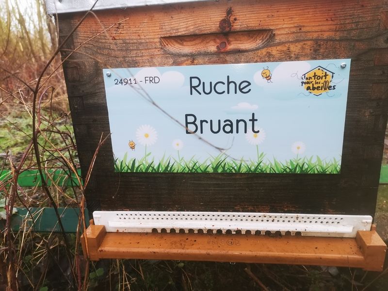 La ruche Bruant