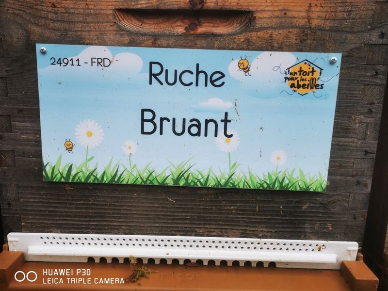 La ruche Bruant