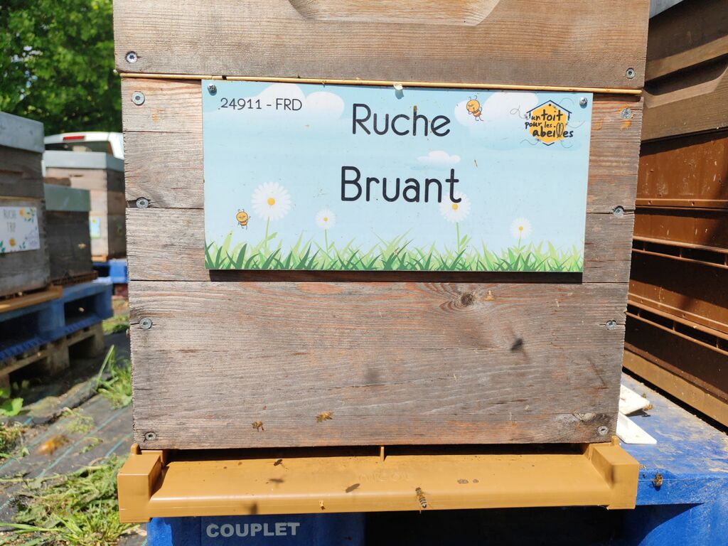 La ruche Bruant