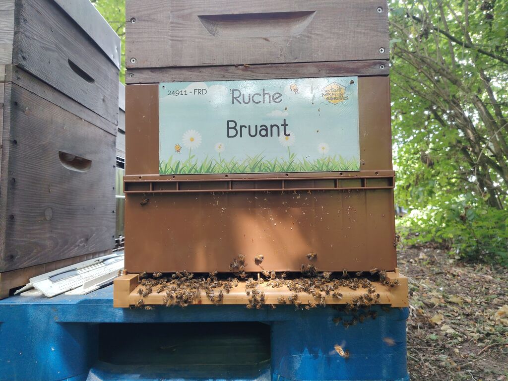 La ruche Bruant
