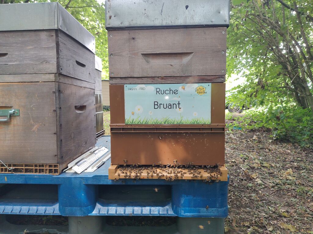 La ruche Bruant