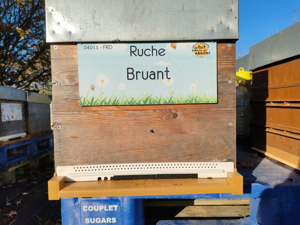 La ruche Bruant