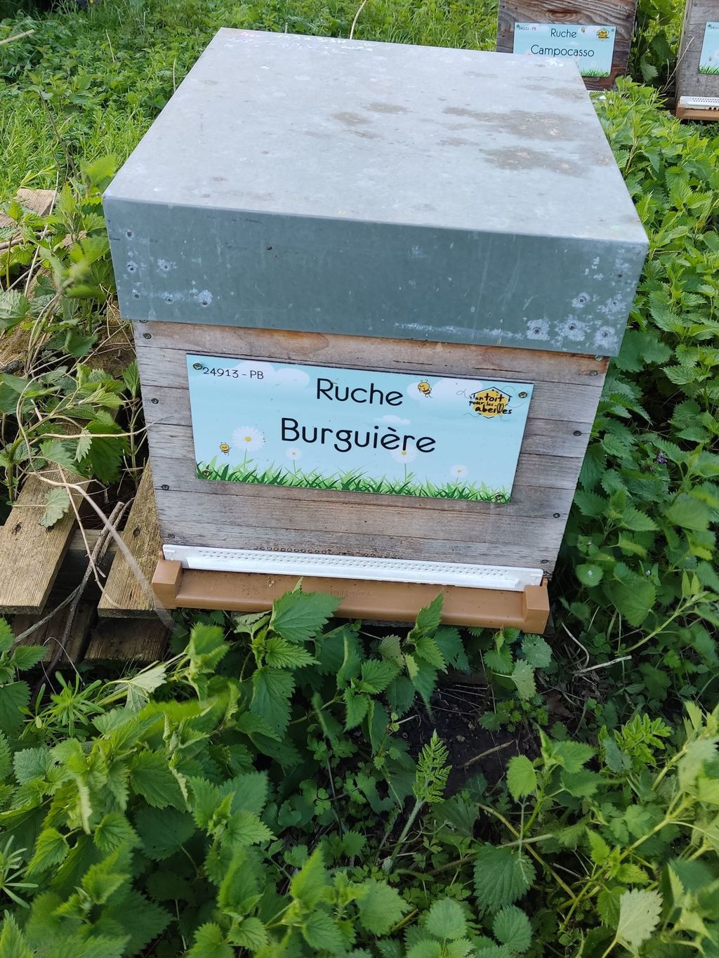 La ruche Burguière