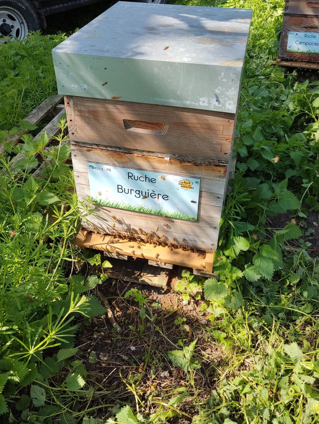 La ruche Burguière