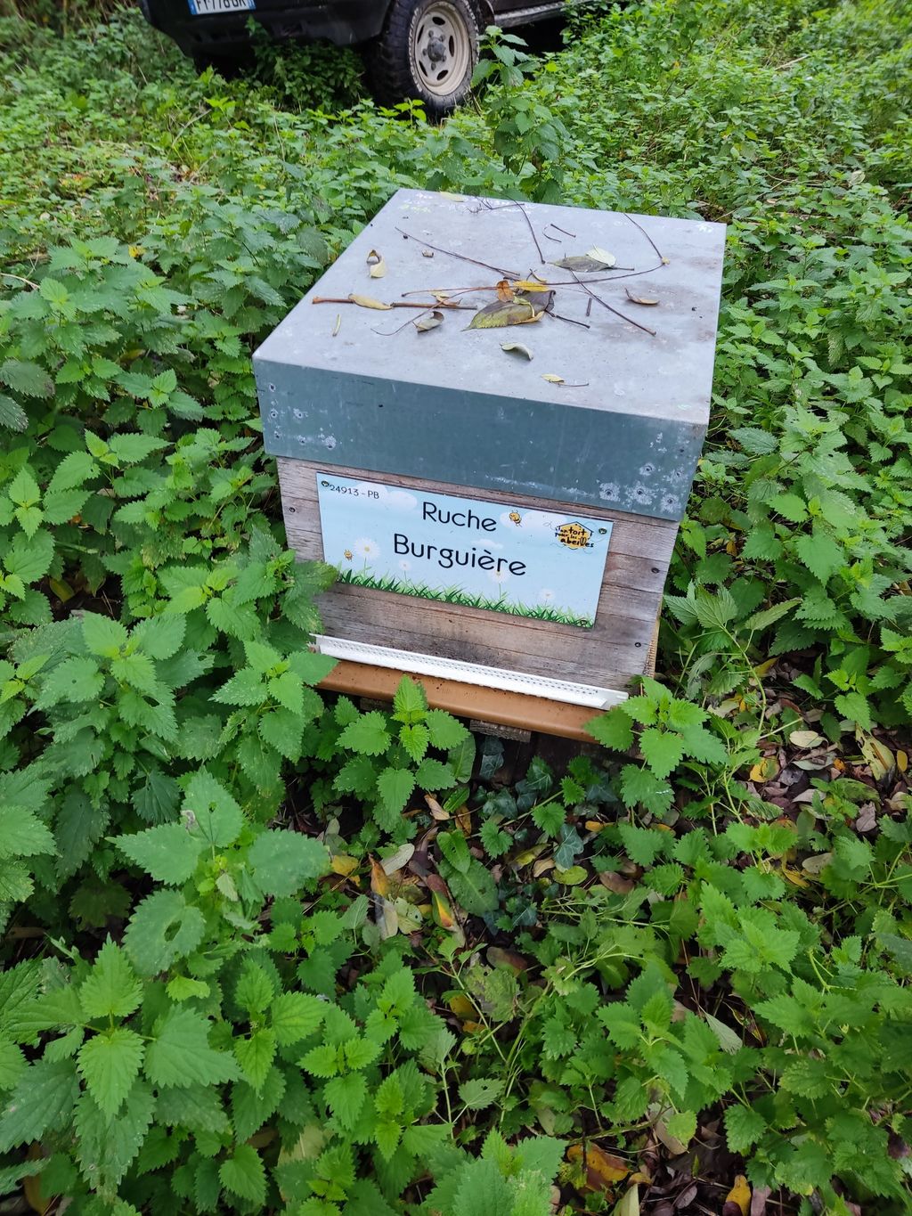 La ruche Burguière