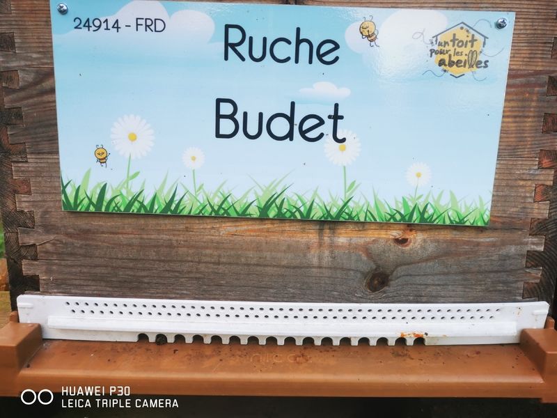 La ruche Budet