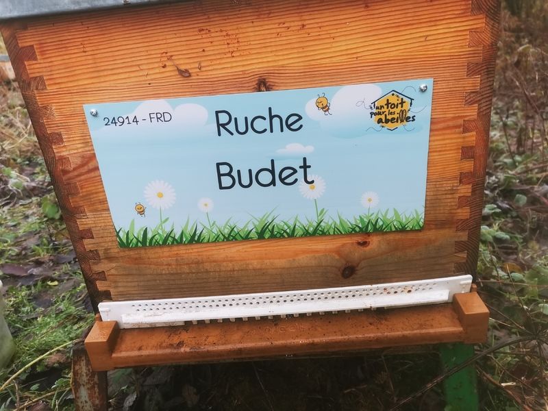 La ruche Budet