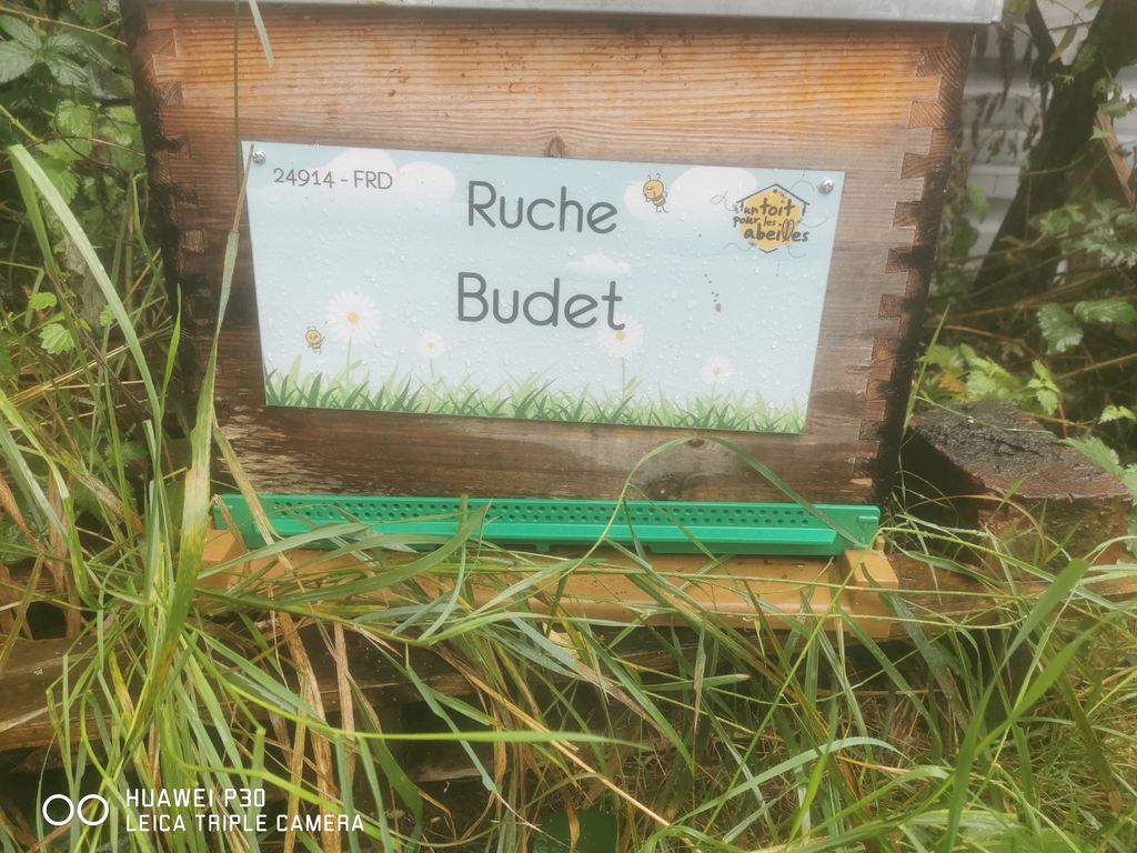 La ruche Budet