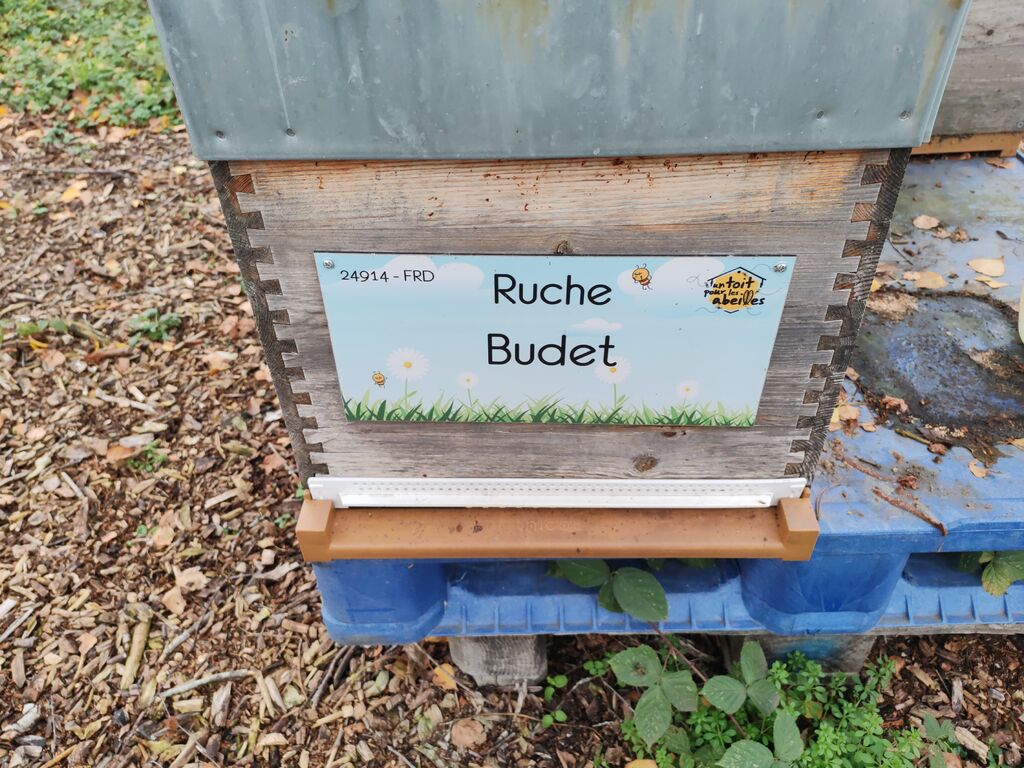 La ruche Budet
