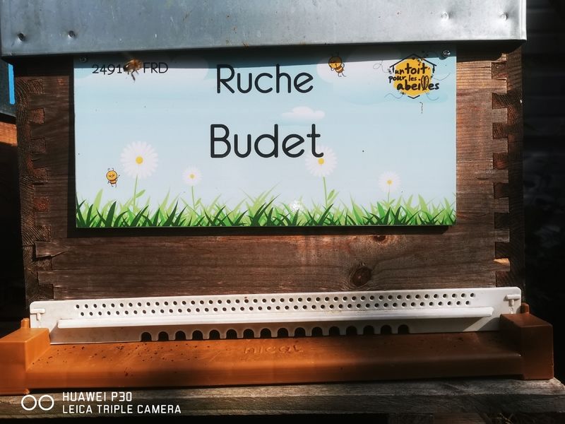 La ruche Budet
