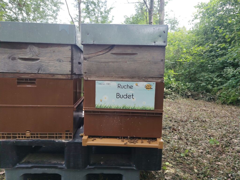 La ruche Budet