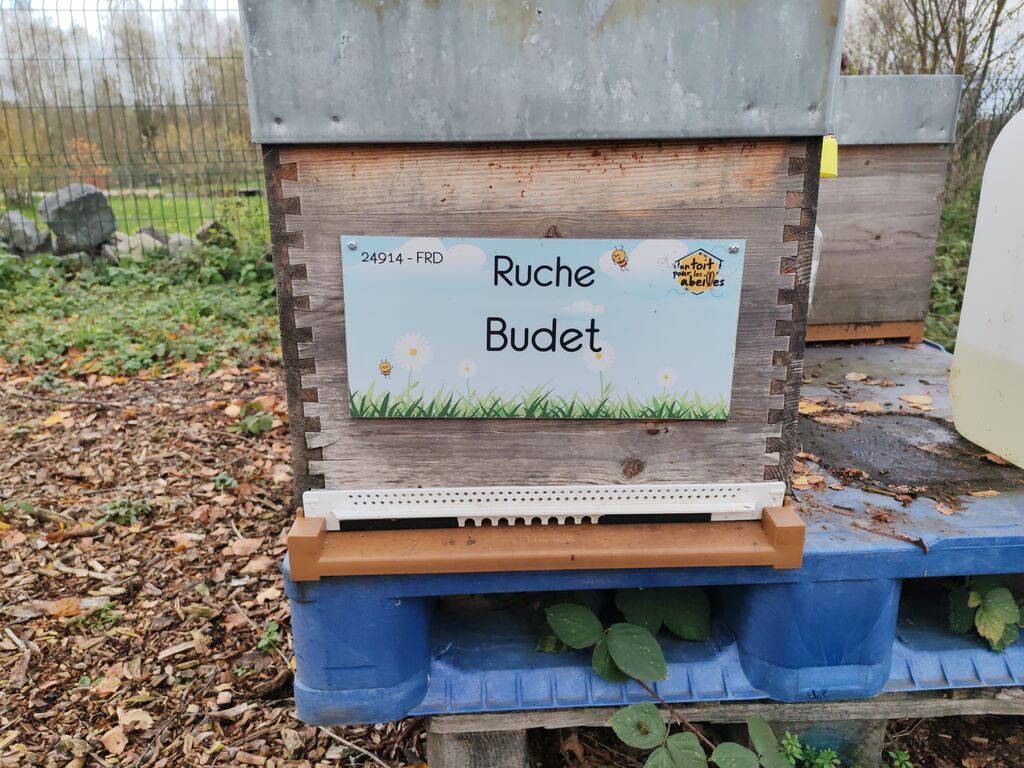 La ruche Budet