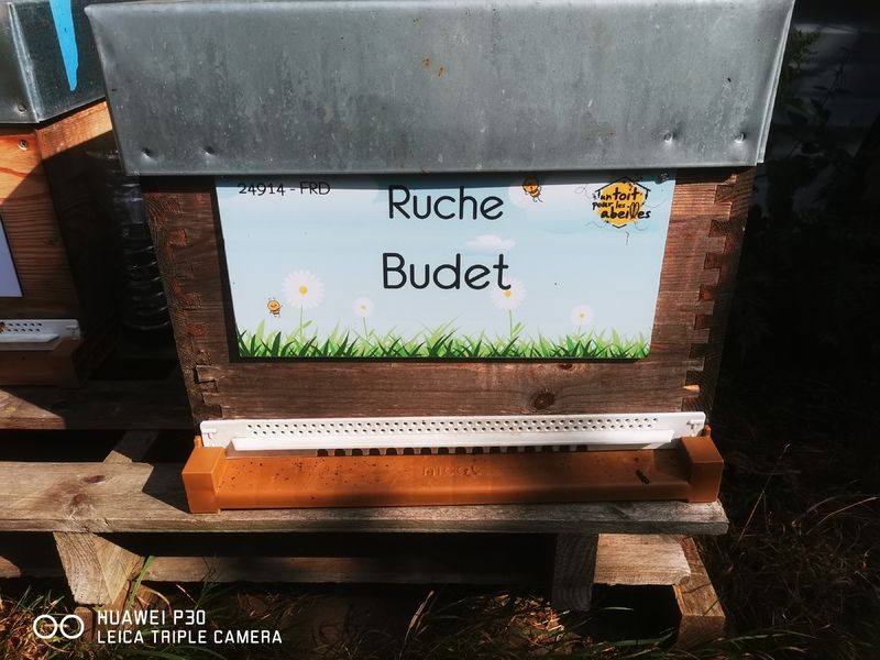 La ruche Budet