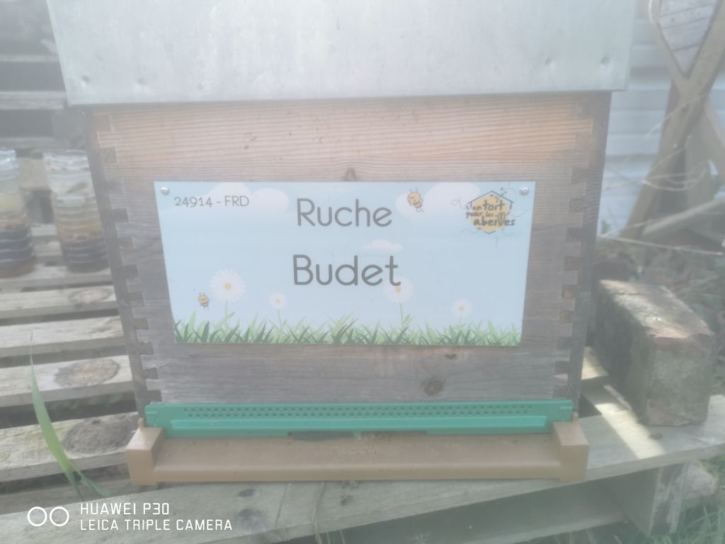 La ruche Budet