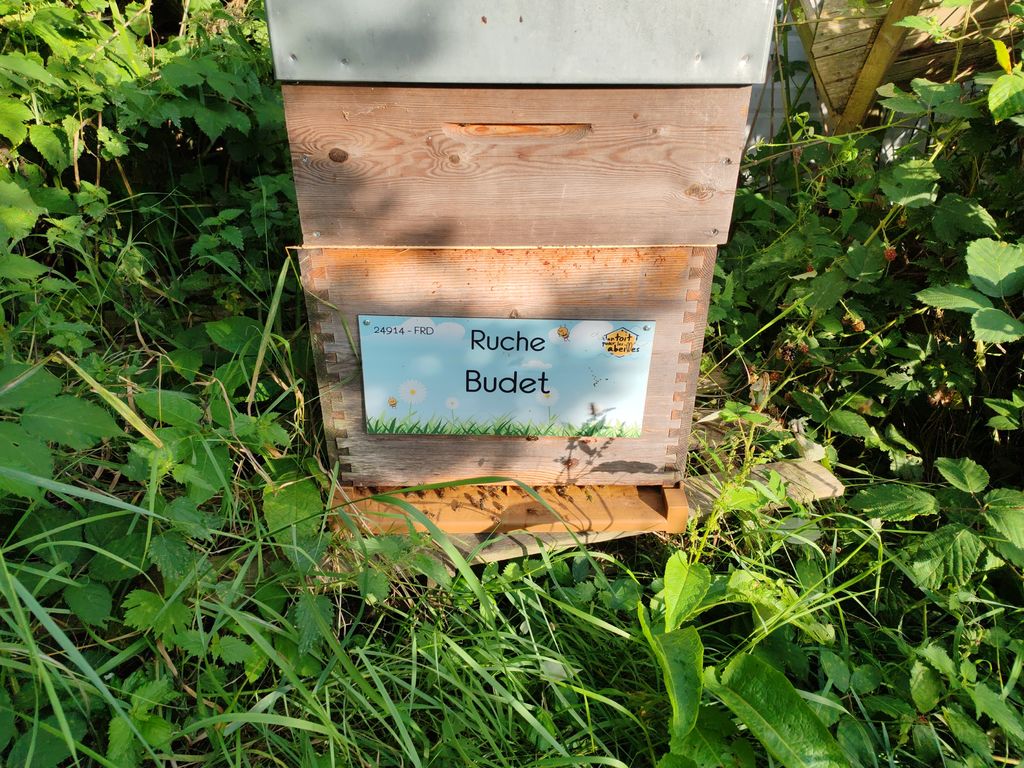 La ruche Budet