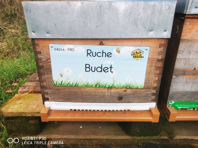 La ruche Budet